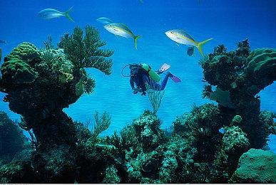 《波斯王子：Rogue》十月更新上线 游戏通过Steam Deck验证